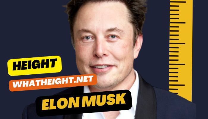 What is Elon Musk Height, Weight, Net Worth, Affairs, Biography