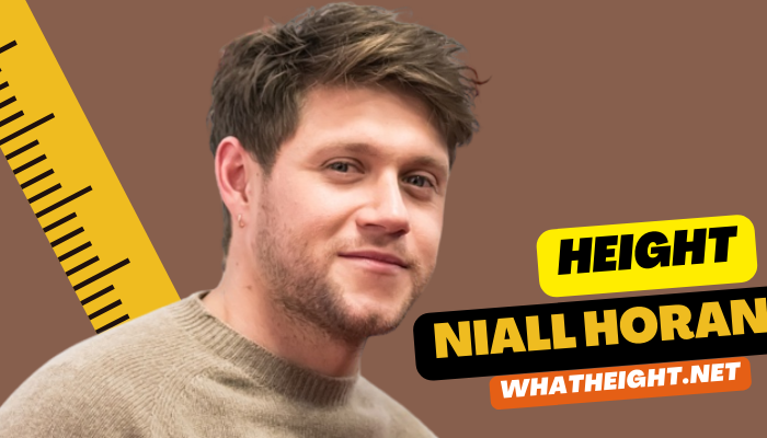What is Niall Horan Height, Weight, Age, Net Worth, Affairs, Biography