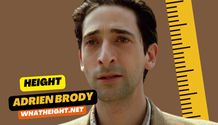 What is Adrien Brody Height, Weight, Age, Net Worth, Affairs, Biography