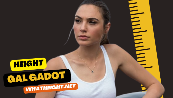 What is Gal Gadot Height, Weight, Age, Net Worth, Affairs, Biography