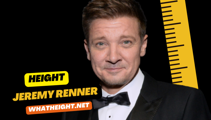 What is Jeremy Renner Height, Weight, Age, Net Worth, Affairs, Biography