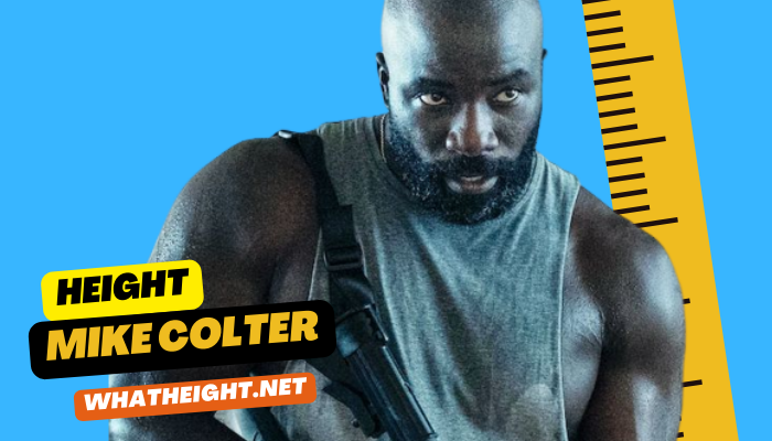 What is Mike Colter Height, Weight, Age, Net Worth, Affairs, Biography
