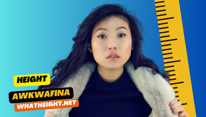 What is Awkwafina Height, Weight, Net Worth, Age, Affair & Biography