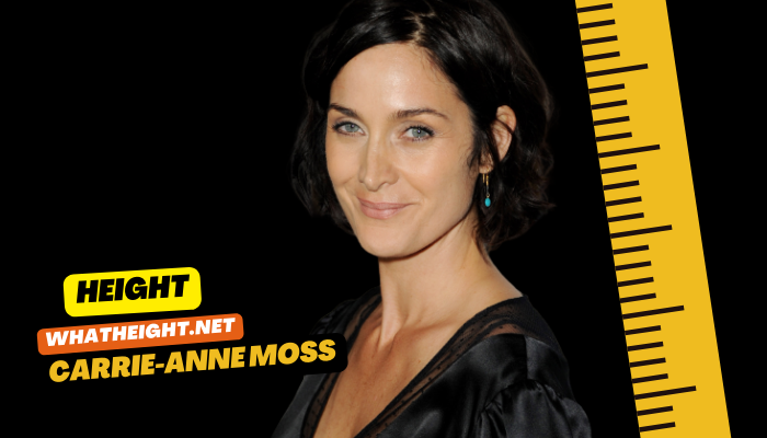 What is Carrie-Anne Moss Height, Weight, Net Worth, Age, Affair & Biography